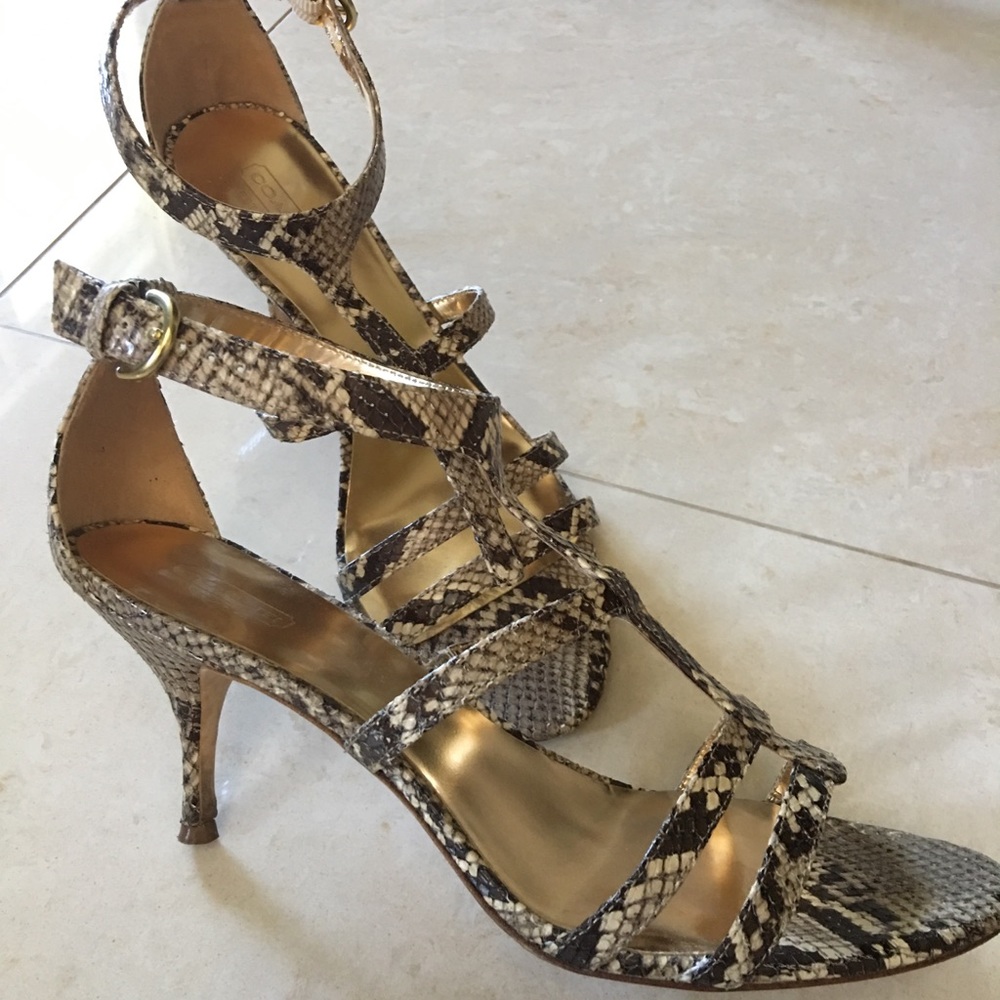 Coach. Real Python Detailing - image 2